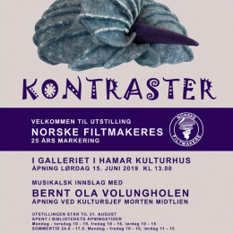 Kontraster-beskaret.jpg